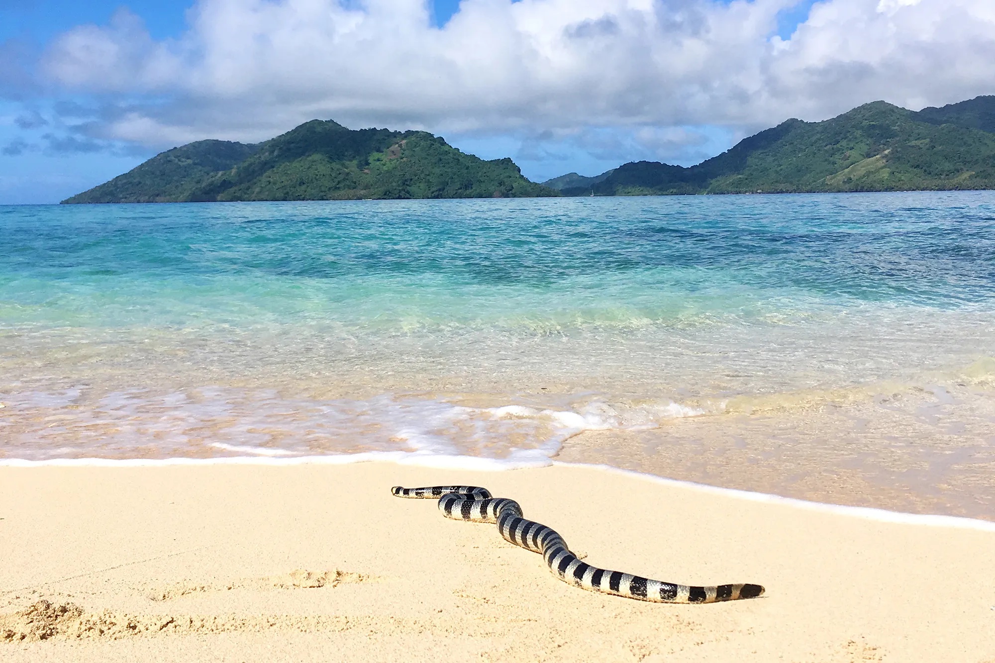 Experience Coral Coast