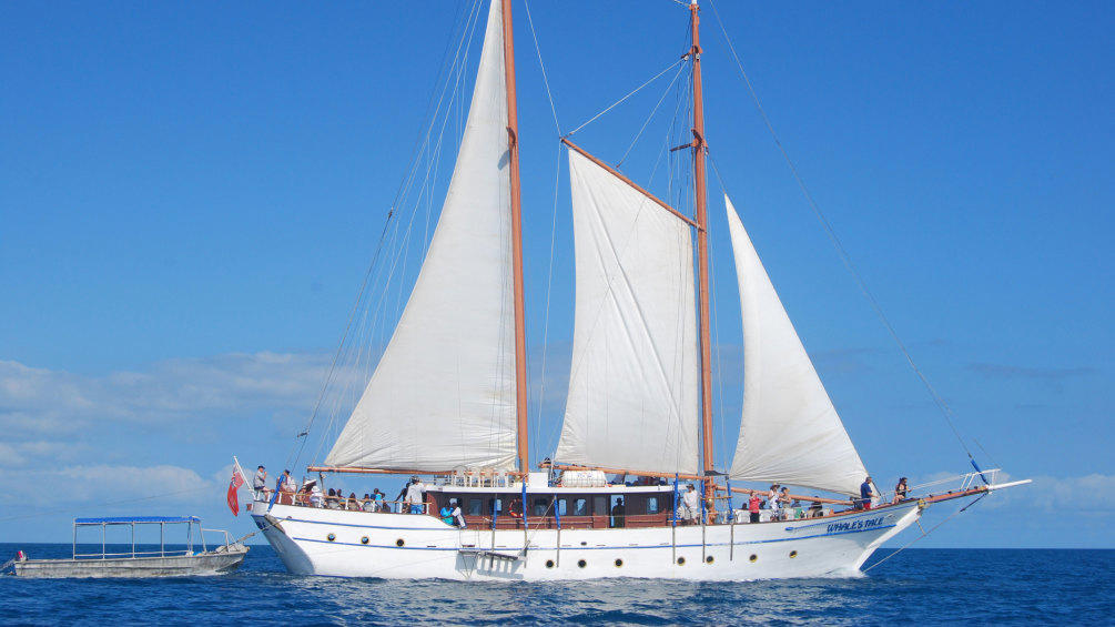 Escape to your Private Island: A Fiji Day Cruise of Tranquility and Adventure