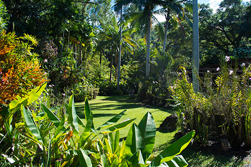Nadi