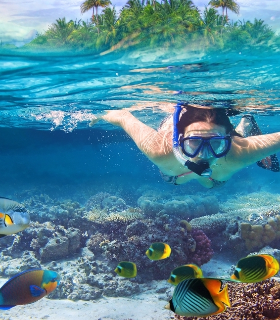 The FijiDude Hit List: 7 Experiences You Can Book Today