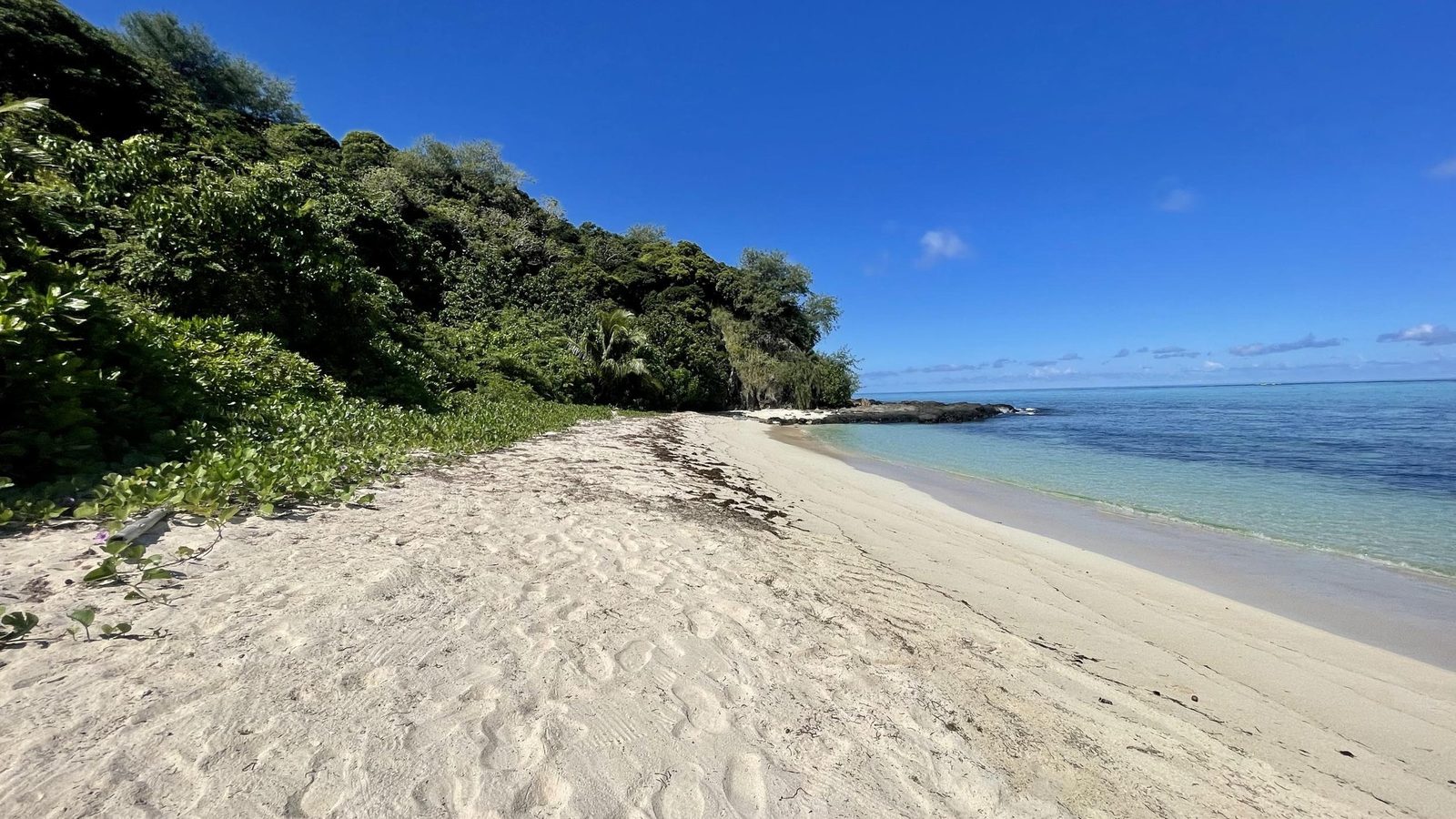 Exquisite Absolute Beachfront Land