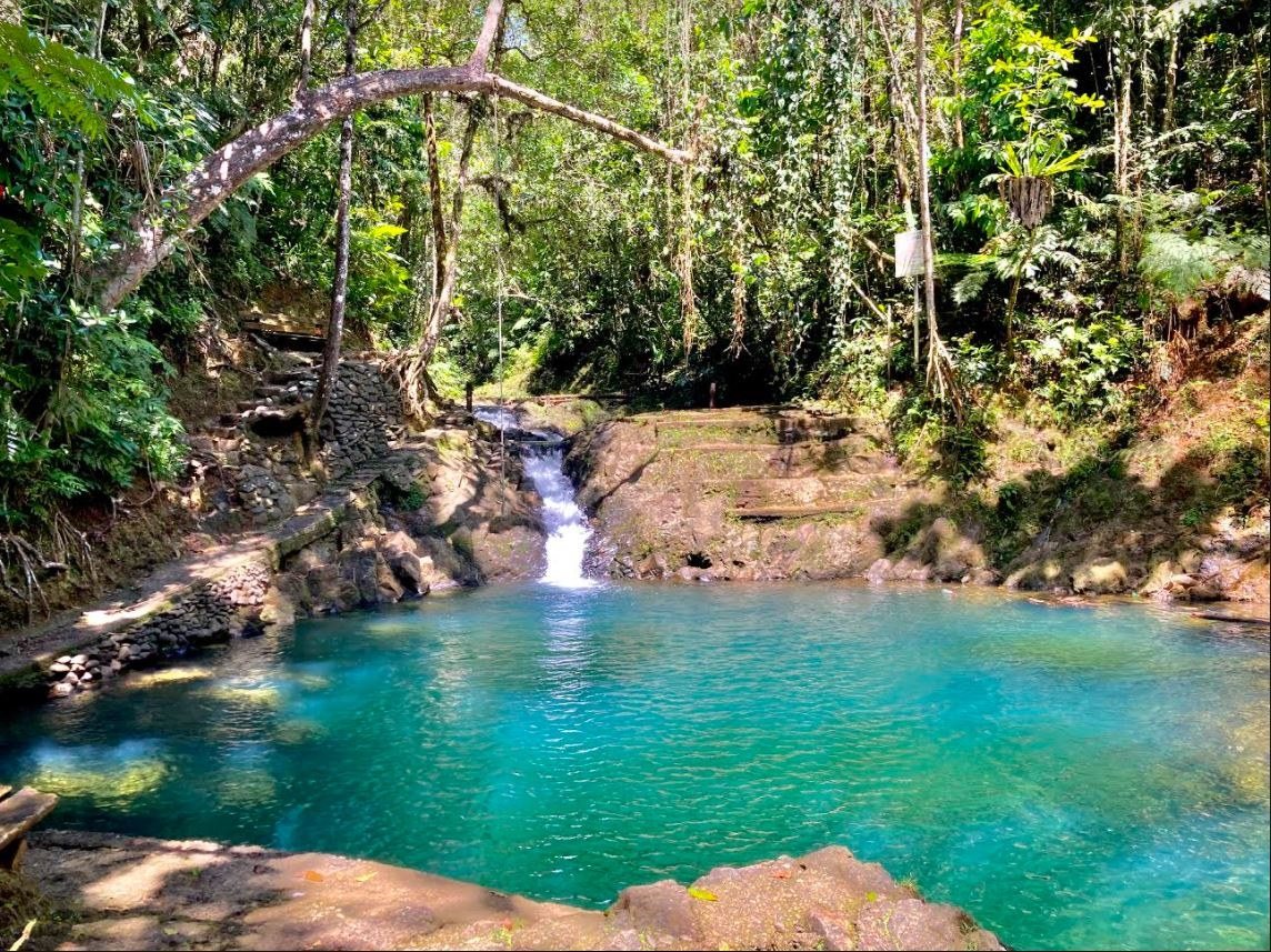 Colo-i-Suva Forest Park — Guided Rainforest & Waterfall Walk (59 chars)
