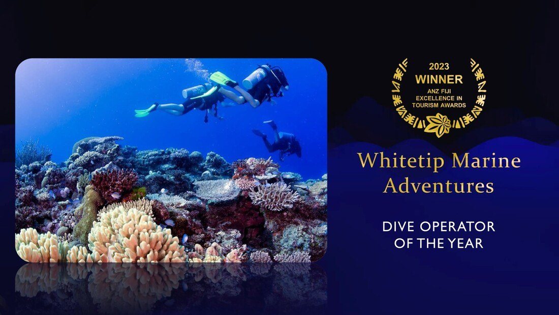 Try Scuba Diving from Denarau — Two Dives, No Experience Needed