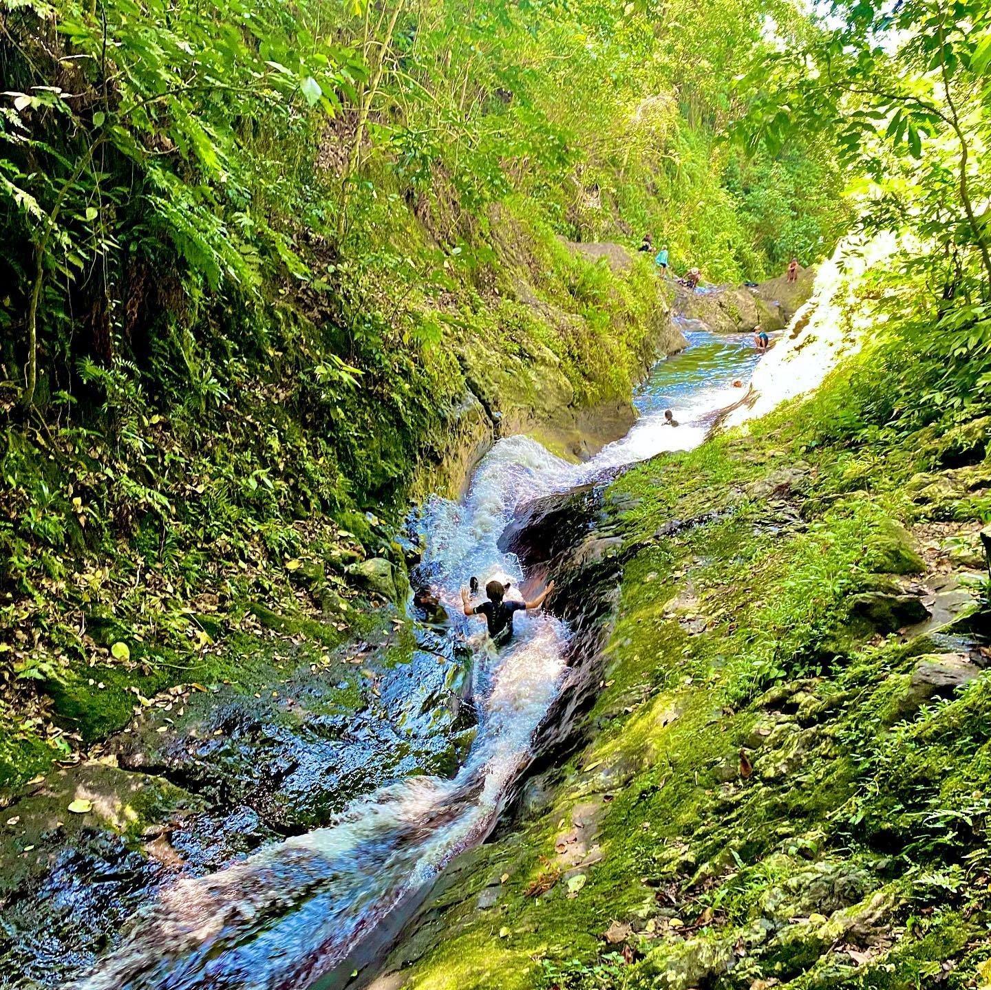 Lavena Coastal Walk: Taveuni's Wild Southeast Coast