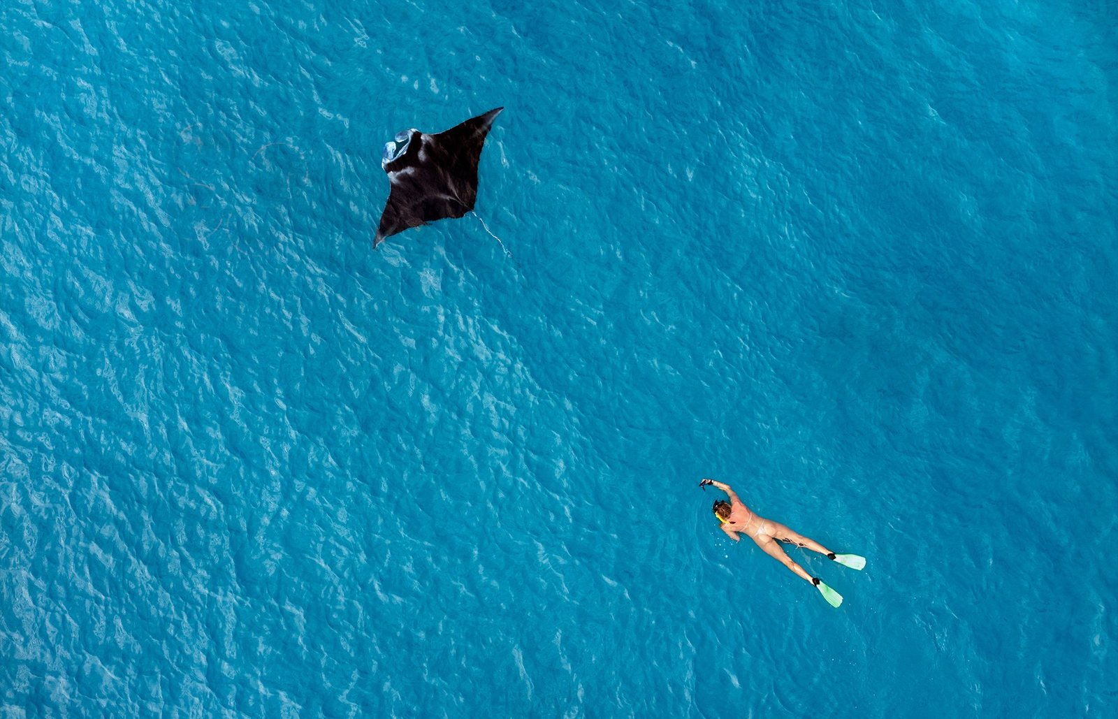 Swim With Manta Rays in the Yasawa — May to October Season
