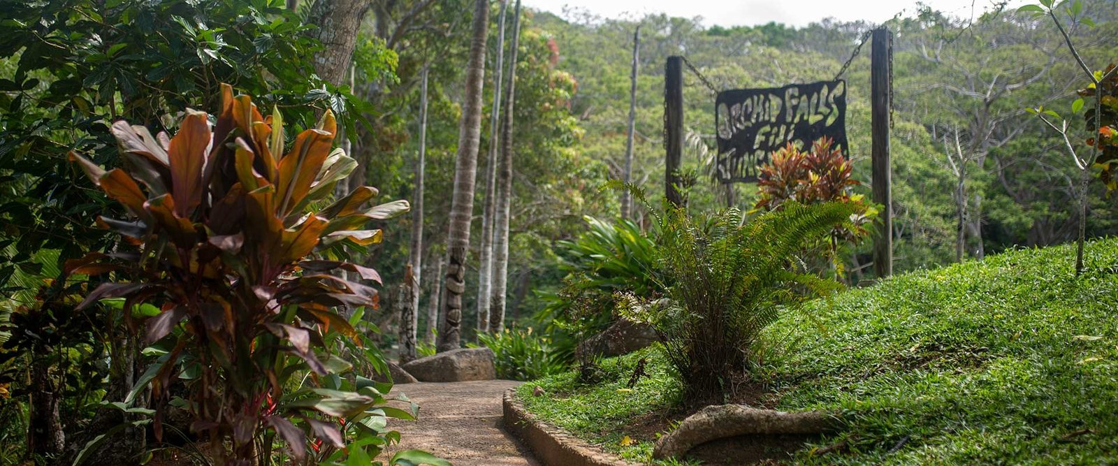 Sleeping Giant Zipline & Orchid Falls Jungle Safari, Nadi