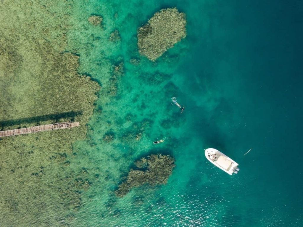 Savusavu Pearl Farm, Hot Springs & Split Rock Half Day