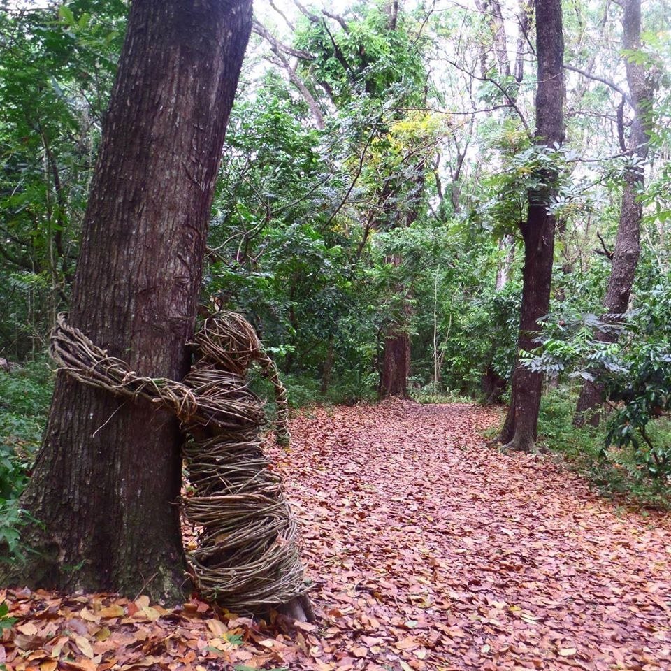 Sigatoka Sand Dunes — Guided Walk in Fiji's 1st Park (51 chars)
