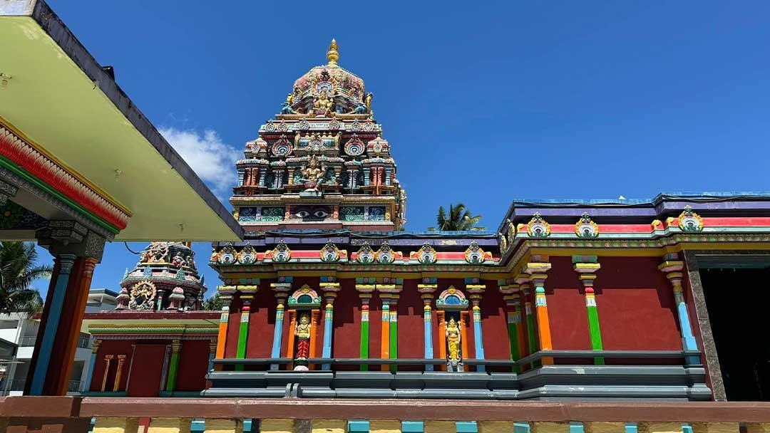 Nadi Town & Sri Siva Subramaniya Temple Half Day (47 chars)