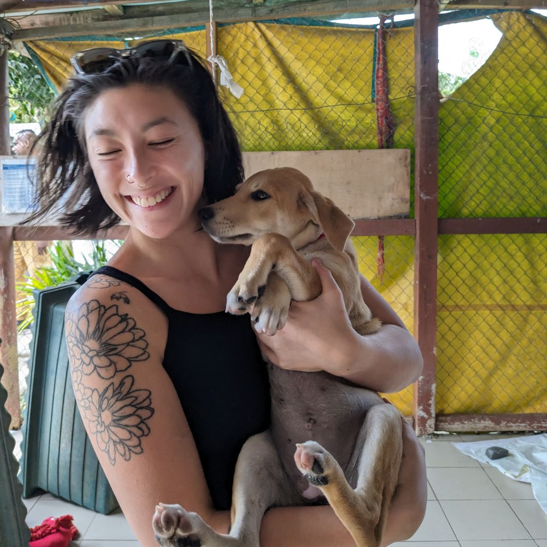 Animals Fiji — Nadi