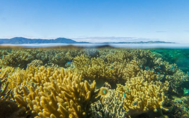 Ocean Ventures Fiji — Vanua Levu