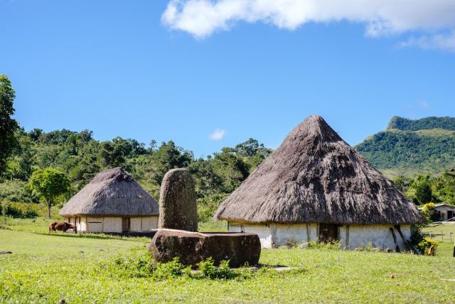 Talanoa Treks — Suncoast