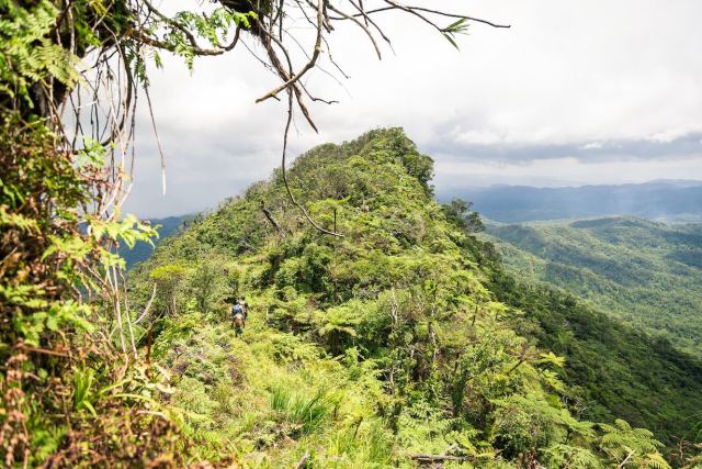 Talanoa Treks — Suncoast