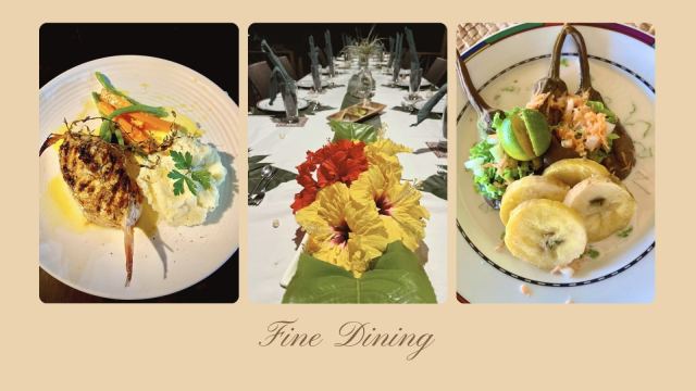 Viani Bay Resort @ Dive Academy Fiji — Taveuni
